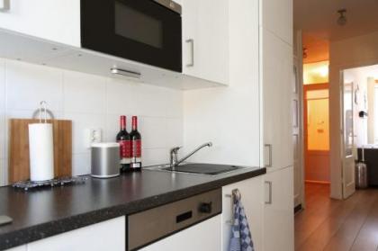 Charming 1Room Apartment in Amsterdam - image 2