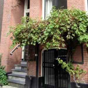 Ninetteen Amsterdam 
