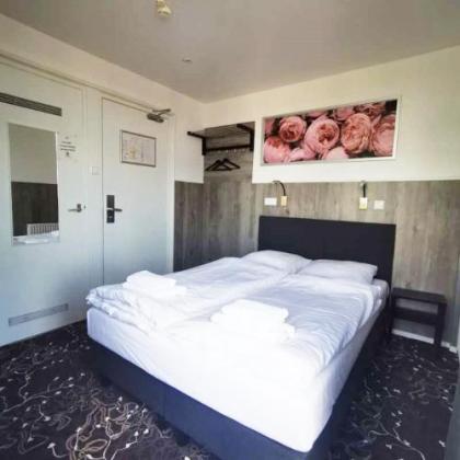 Budget Trianon Hotel - image 9