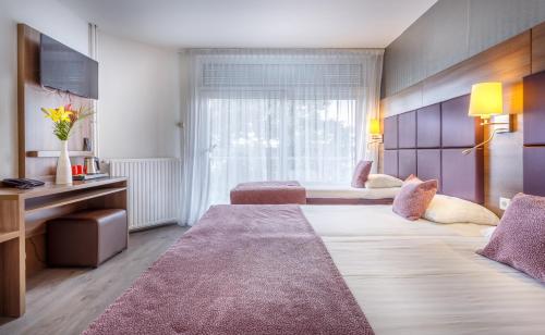 Hotel Victorie - image 7