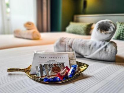 Hotel Alexander - image 12