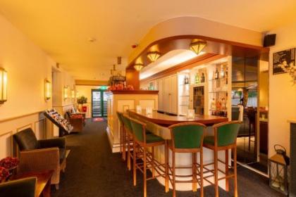 Owl Hotel - image 14