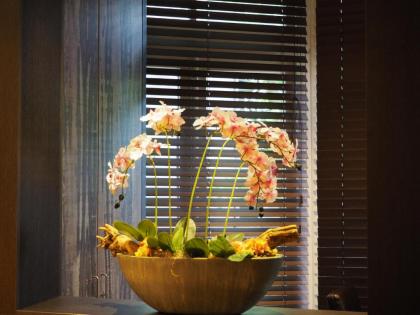 Hotel Blossoms City - image 2