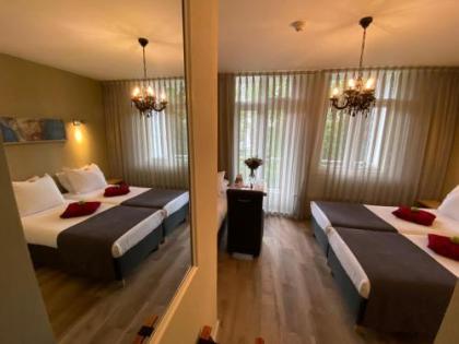 Alp Hotel - image 17
