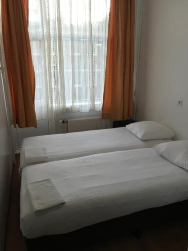 Budget Hostel Sphinx - image 5