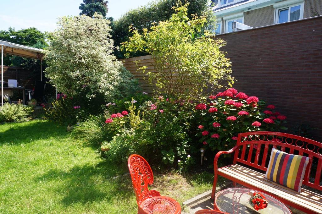 Xaviera's Bed and Breakfast - image 3