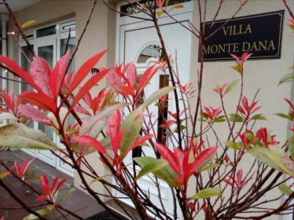 Villa Monte Dana - image 1