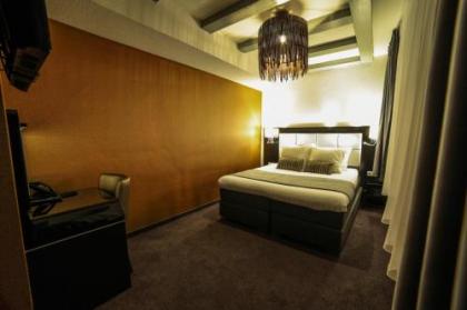 Hotel Mansion - image 15