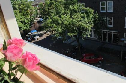 Wild Roses - image 10