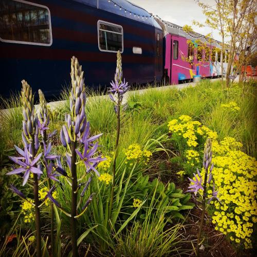 Train Lodge Amsterdam - image 7