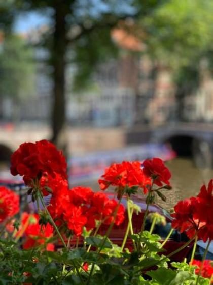 Keizershouse Amsterdam - image 13