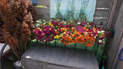 Amsterdam Roof Terrace B&B - image 1