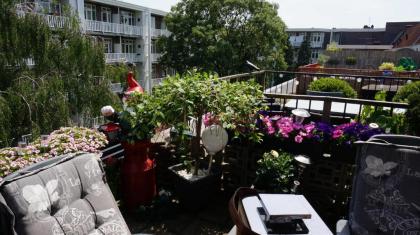 Amsterdam Roof Terrace B&B - image 11