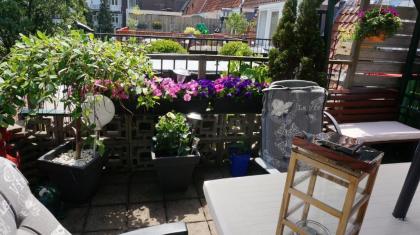 Amsterdam Roof Terrace B&B - image 16