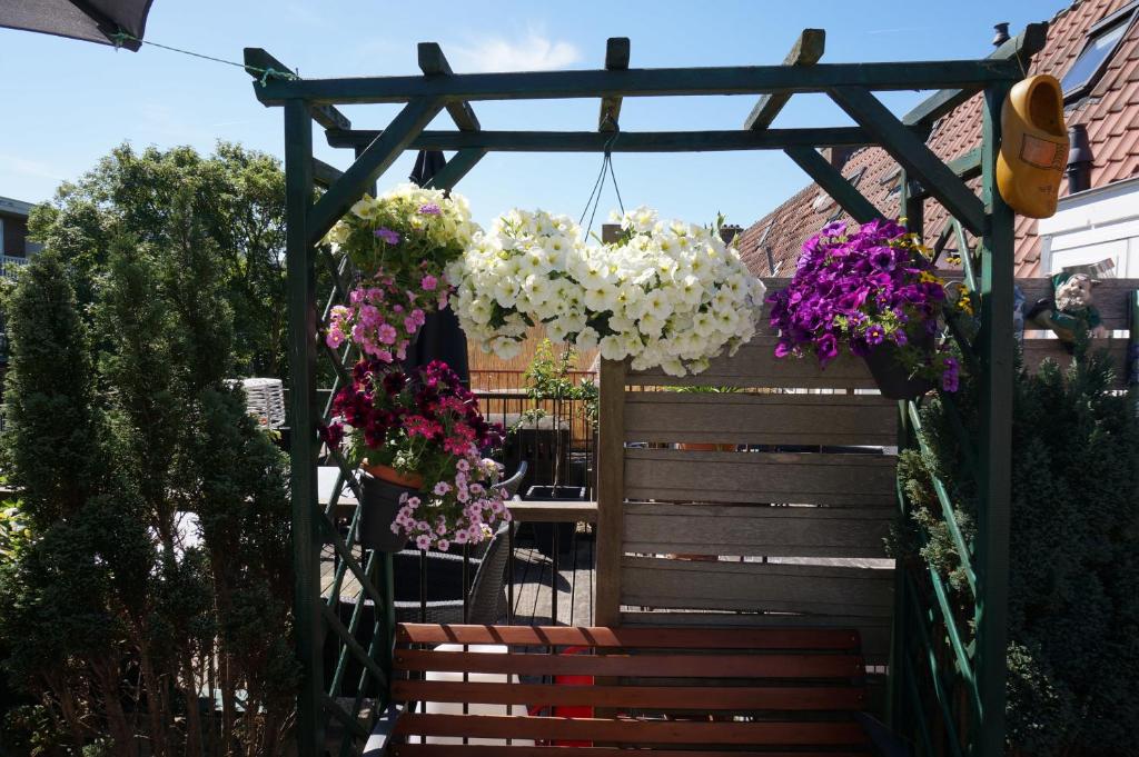 Amsterdam Roof Terrace B&B - image 3