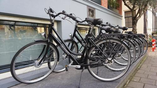 The Hendrick's Hotel - image 3