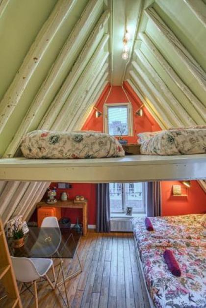 Attic Monkeys Lodge - image 10