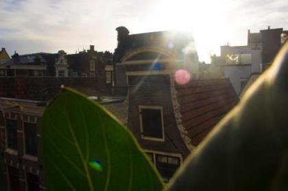 Attic Monkeys Lodge - image 14