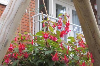 B&B West City Amsterdam - image 12