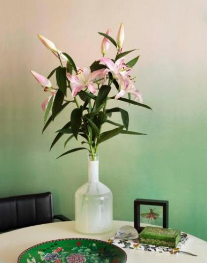 City B&B Villa Nicola - image 15