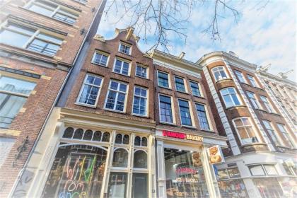 Sunflower Amsterdam - image 10