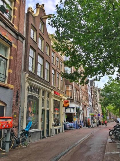 Sunflower Amsterdam - image 9